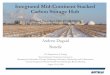 Integrated Mid-Continent Stacked Carbon Storage Hub · 2018-08-30 · Cargill Corn Milling North America AGP Soy/Corn Processing Green Plains Wood River, LLC. Chief Ethanol Fuels,