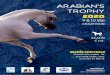 International Arab Horse Competition Auvergne Rhône-Alpes...The ECAHO (Blue Book) regulation will be applied in its entirety. International "C" competition: All horses registered