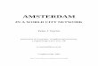 AMSTERDAM IN THE WORLD CITY NETWORK · What we don’t know about Amsterdam Chapter 1 Introduction: the taming of the city (modernity) Chapter 2 The World City Network Project Chapter