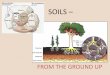 SOILS – FROM THE GROUND UP€“-FROM... · Soil Horizons • A soil horizon is a specific layer in the soil which measures parallel to the soil surface and possesses physical characteristics