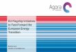 EU Flagship Initiatives to Fast-Forward the European ......EU Flagship Initiatives should address the social dimension of ... Agora Energiewende and Agora Verkehrswende 2018 10 Individual