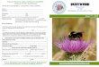 Recruit a friend or make a donation to help BBCT BuzzWord · 1 BuzzWord Newsletter of the Bumblebee Conservation Trust Issue 11 - 2009 ... Gardening for bumblebees Produced by the