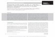 Expression Proﬁle of BCL-2, BCL-X , and MCL-1 Predicts ... · for therapy (1, 2). Standard-of-care drugs for the treatment of multiple myeloma include proteasome inhibitors (bortezo-mib