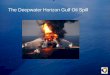The Deepwater Horizon Gulf Oil Spill - Public Healthsph.lsuhsc.edu/wp-content/uploads/2016/07/Oil_Spill... · 2016-07-06 · Top Oil Spills •The Gulf War Oil Spill - Persian Gulf