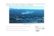 Klawock Lake Sockeye Salmon Action Plan Prince … › wp-content › uploads › 2020 › 02 › Klawock...Klawock Lake Sockeye Salmon Action Plan Prince of Wales Island, Alaska FEBRUARY