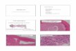Introduksjon Spyttkjertler Parotis - normalt med 20-25 små ......Journal of Oral and Maxillofacial Surgery Volume 75, Issue 12, December 2017, Pages 2573-2578 Pathology ... FNAC from