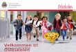 Velkommen til Osloskolen › siteassets › aks › dokumenter › velkom… · norsk og matematikk og i sosial kompetanse, arbeidsvaner og orden. • For 1. trinn gjennomføres det