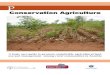 Conservation Agriculture - panos.org.zmpanos.org.zm/wp-content/uploads/2018/02/Conservation-agriculture-Booklet.pdf4.0 Benefits of conservation agriculture 5 4.1 Improved yields 5