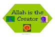 allah is the creator print - The Islamic Bulletin · Allah created bugs and spiders. Allah created birds. Allah created reptiles and amphibians. Allah created animals. Allah created