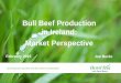Bull Beef Production in Ireland: Market Perspective · Growing the success of Irish food & horticulture Market Issues Surrounding Young Bulls 1. UK Market Ireland is the main import