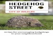 10 tips for encouraging hedgehogs in your neighbourhood · 2018-03-08 · a look around for some great ideas you can use in your own garden. Hedgehog holes A 13cm (5 inches) square