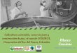 Presentación de PowerPointunsse.org/wp-content/uploads/2019/05/Coscione-PPT...1993 CREACIÓN 2017 Nuevos emprendimientos: panela y cacao orgánicos 2012 Inicio construcción proyecto