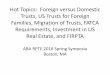 Hot Topics: Foreign versus Domestic Trusts, US Trusts for …€¦ · Hot Topics: Foreign versus Domestic Trusts, US Trusts for Foreign Families, Migration of Trusts, FATCA Requirements,