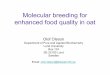 Molecular breeding for enhanced food quality in oat · Molecular breeding for enhanced food quality in oat Olof Olsson Department of Pure and Applied Biochemistry Lund University