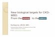 New biological targets for CKD- MBD: From the to the KDOQI · New KDIGO target y4.1.1. In patients with CKD stages 3– 5, we suggest maintaining serum phosphorus in the normal range