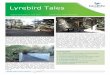 Lyrebird Tales - BirdLife · Lyrebird Tales Volume 28 Number 2 June 2019 Birdlife Yarra Valley Newsletter Badger Weir Park Re-opens Badger Weir Park was officially re-opened to the