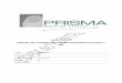 MANUAL DEL USUARIO PARA FIRMAR DOCUMENTOS EN EXCEL · 2017-08-09 · Registro Digital Prisma 0 Manual del Usuario para firmar documentos en Excel / .xls Ver. 1 del 01-02-2014 /Página