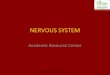 NERVOUS · PDF file cranial nerves spinal nerves ganglia peripheral nerves enteric plexuses sensory receptors. Overview of the Nervous System Central nervous system-CNS Brain & Spinal