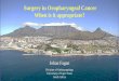 Surgery in Oropharyngeal Cancer When is it appropriate?€¦ · Johan Fagan Division of Otolaryngology University of Cape Town South Africa. Nothing to declare. Oropharynx. Oropharynx