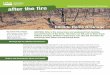 Hillside Home Drainage - UC Agriculture & Natural Resources · 2016-09-02 · Hillside Home Drainage Drainage tips for hillside homeowners: Hillside lots that have been damaged by