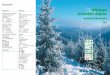 Forst Teil 2 - Waldwissen · 2011-01-16 · Der vorliegende Katalog wurde mit dem Ziel erarbeitet, die Sicherheit und den Gesundheitsschutz der Beschäftigten bei der Arbeit zu gewährleisten
