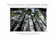 If You Go Down To The Woods Today… - MERLINmerlin-trust.org.uk/wp-content/uploads/...Antoine.pdf · some 2,500 vascular plants, 1,000 bryophytes, 1,000 lichens and 10,000 fungi