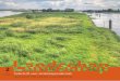 2017 Tijdschrift voor landschapsonderzoek Jaargang 34...in het kader van de vermindering van de veestapel. Sommigen praten al over het einde van de landbouw in Nederland. De landbouw