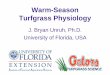 Warm-Season Turfgrass Physiology - Infogramainfograma.com.br/wp-content/uploads/2015/10/physiology.pdf · Definitions: • Turfgrass - are plants that form a more or less contiguous