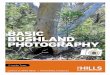 Basic Bushland photography - The Hills Shire€¦ · 4 basic bush Land phoTography basic bush and phoTography 5 . 6 basic bushL and phoTography basic bushL Tography 7 basic bushLand