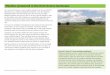 Meadow grassland in the Kent Downs landscapeMeadow grassland in the Kent Downs landscape Caring for and maintaining meadow grassland Current state of site • Are grasses and flowers