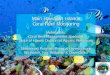 Main Hawaiian Islands Coral Reef Monitoring€¦ · Coral Reef Monitoring Melissa Bos, Coral Reef Management Specialist State of Hawaii Division of Aquatic Resources ... Condition