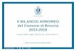 Il BILANCIO ARBOREO del Comune di Brescia 2013-2018...Gli alberi a Brescia Cosa dice la legge La legge 14 gennaio 2013 n. 10 “Norme per lo sviluppo degli spazi verdi urbani“ ha