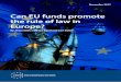 Can EU funds promote the rule of law in Europe? · 2017-11-21 · Countries where the rule of law is weak are unlikely to be able to use EU funds effectively. In the absence of the