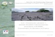 Pavements calcaires - Patrimoine naturel (PatriNat)spn.mnhn.fr/spn_rapports/archivage_rapports/2008/SPN 2008 - 1... · Service du Patrimoine Naturel Département Écologie et Gestion