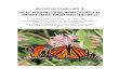 Pacific Northwest (PNW) Monarch Butterfly Wildlife Habitat Evaluation Guide … · this western monarch population in the hopes that we can revive and sustain the butterflies that