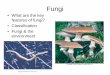 What are the key features of fungi? • Classification ...guralnl/101Fungi.pdf · Fungi • What are the key features of fungi? • Classification • Fungi & the environment. Key
