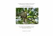 Southwestern Willow Flycatcher (Empidonax traillii extimus)...4 (beetles) (Diorahbda carninulata, formerly known as D. elongata.) and predictions about future water availability and