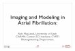 Imaging and Modeling in Atrial Fibrillationmacleod/talks/NHLBI-VCU-MacLeod.pdf · dent’s t-test was used to compare continuous variables and Chi-square test to compare proportions