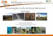 Conservação in situ do Lince Ibérico em PortugalPlano de Ação para a Conservação do Lince Ibérico em Portugal – balanço conservação In situ 2015 1. Conservação dos habitats
