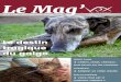 Le Mag’ - Vox Animae · Référencement social Nos émotions internes ne semblent pas les seules à influencer les réac-tions comportementales de notre chien : nos réactions physiques