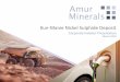 Kun-Manie Nickel Sulphide Deposit - Amur Minerals · The Right Project… • Amur is developing the Kun-Manie project, the largest undeveloped and drill proven nickel copper sulphide