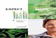 EXPECT MORE - ravensdown.co.nz · EXPECT MORE . CONTENTS 08 Key Highlights 10 Chair’s Report 12 CEO’s Report 16 Financial Commentary ... CONSULTANCY AND DEVELOP THE LARGEST TEAM