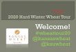 2015 Hard Winter Wheat Tourkswheat.com/sites/default/files/aarons_slides_day_3.pdfMinor leaf rust, drought, 44 BPA ... 2015 Hard Winter Wheat Tour Author: Aaron Harries Created Date: