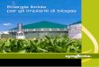 Energia ibrida per gli impianti di biogas - Syngenta Italia · 2016-04-19 · ibridi di mais da trinciato, anche gli orzi ibridi HYVIDO. Energia ibrida: una grande opportunità per