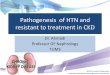 Pathogenesis of HTN and resistant to treatment in …...•HTN is found in 80–85% of all CKD patients, with a higher prevalence being seen in those with worse kidney function. •The