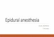Epidural anesthesia - | UMFST Tîrgu Mureș...Epidural anesthesia A reversible loss of sensation and motor function similar to spinal anesthesia (lesser degree of motor block). Larger