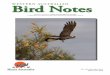 Quarterly Newsletter of Birds Australia Western Australiabirdswa.com.au/WABN/WABN #136 2010 Dec.pdf · Bird NotesWESTERN AUSTRALIAN No. 136 December 2010 ISSN 1445-3983 Quarterly