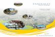 EMERALD - Shire of Cardinia · Prepared by: Cardinia Shire Council Strategic Planning Unit in association with Emerald Strategy Review Steering Committee SMEC Urban and Land Design