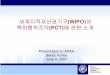 Presentation to APAA - WIPO · 2018-08-31 · Introduction to the World Intellectual Property Organization (WIPO) and the Patent Cooperation Treaty (PCT) Presentation to APAA Seoul,