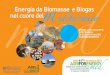 Energia da Biomasse e Biogas nel cuore del m ...Aiel.pdf · Soluzioni tecnologiche per produrre energia dalle biomasse forestali: visita guidata agli stand AgriforenergyMed A cura
